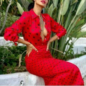 NWT ZARA 2 PIECE POLKA DOT STRAIGHT SKIRT + TOP XS BLOGGER’S FAVORITE